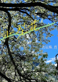 小梨花种植要点